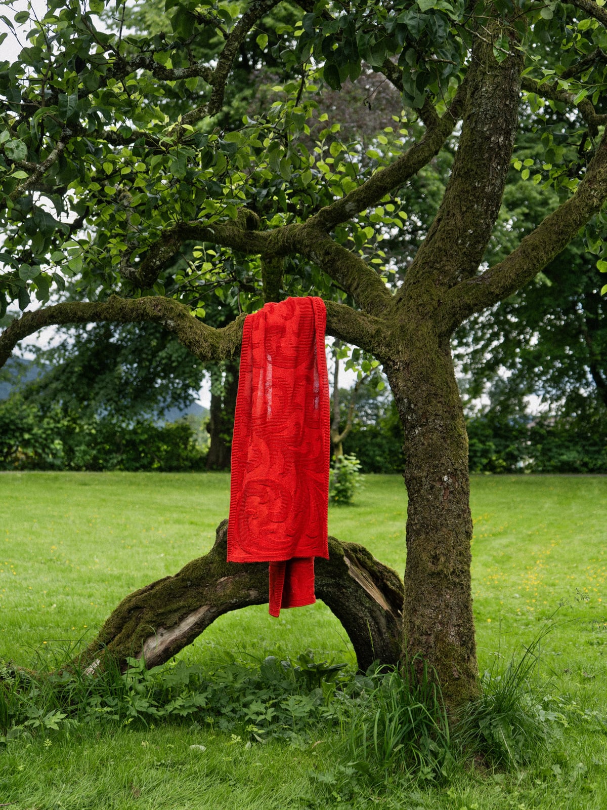 Fern scarf Vermillion image #6