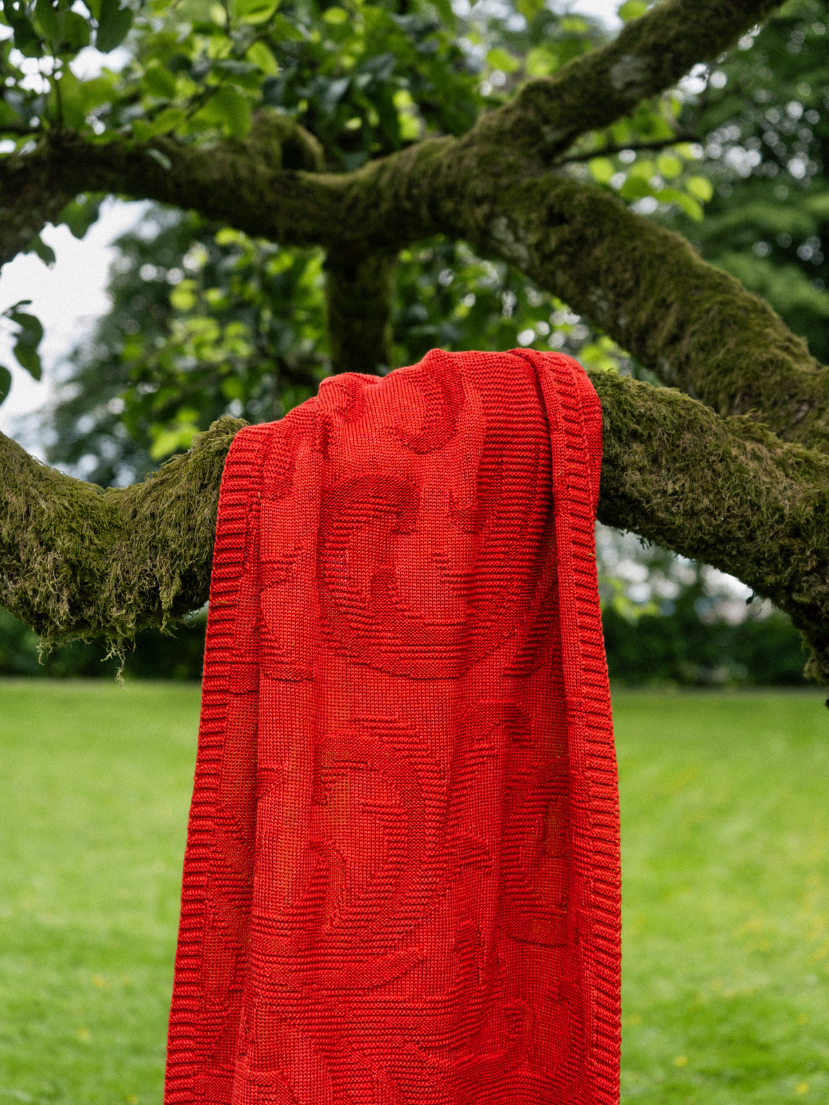 Fern scarf Vermillion image #7